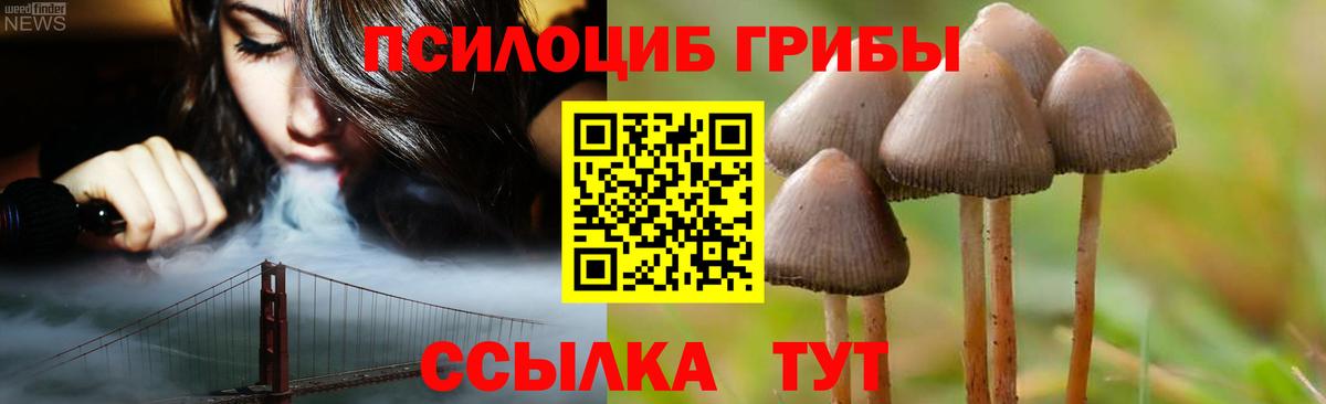 Галлюциногенные грибы Psilocybine cubensis Березники